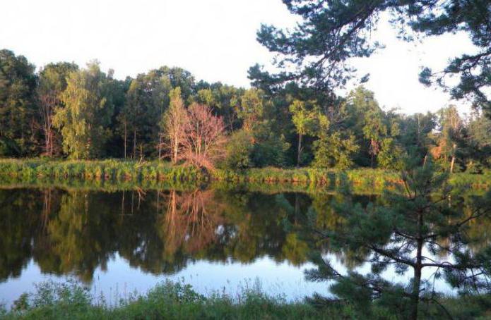 CJSC sanatorium Russian forest Sobinsky district