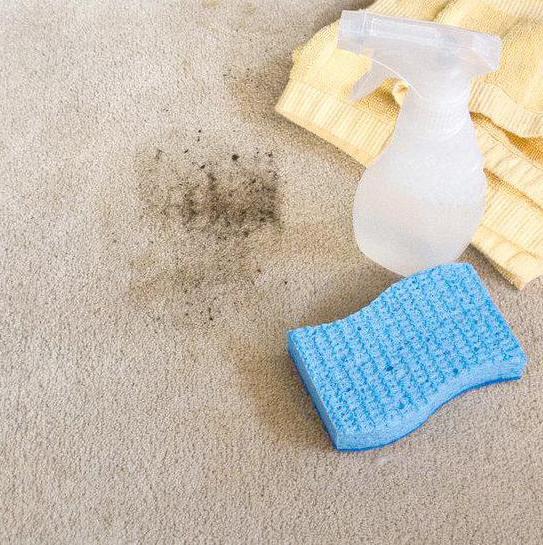 как избавиться от кошачьего запаха на ковре