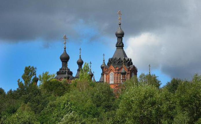 шамординский монастырь фото