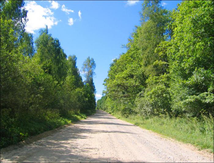 mushrooms in the Tula region