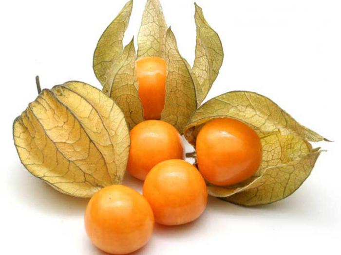 berry physalis