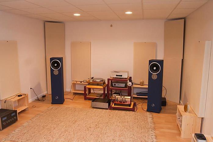 main characteristics of the speaker system