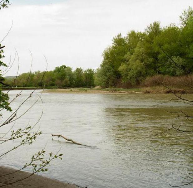 главные притоки реки Кубань