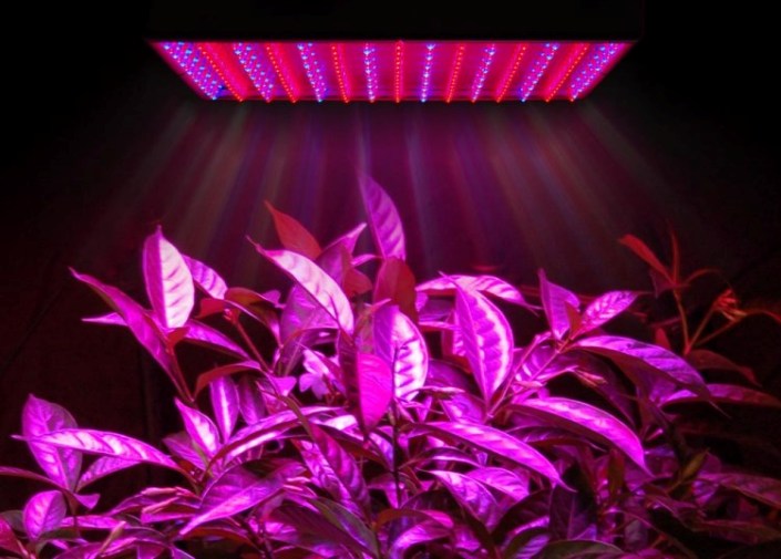 led лампа для выращивания растений