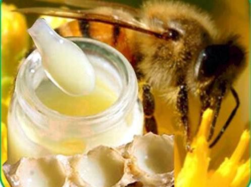 Honey with royal jelly, beneficial properties