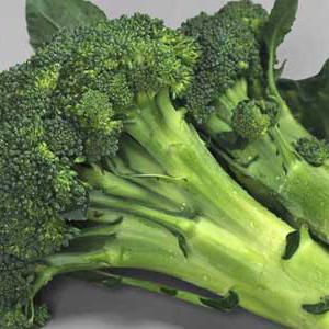 How to grow broccoli in Siberia?