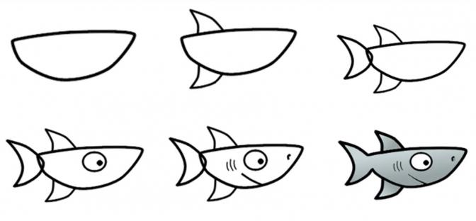 как нарисовать акулу