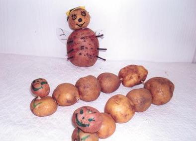 crafts from potatoes and carrots for school