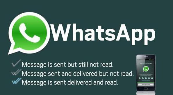 как можно прочитать чужую переписку в whatsapp
