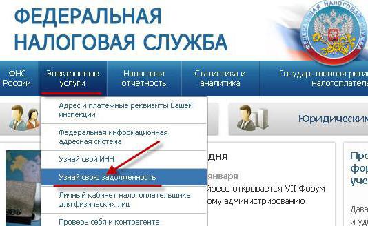 мои налоги посмотреть по фамилии