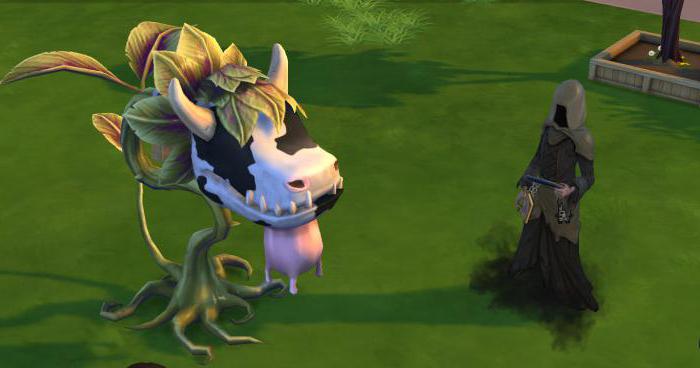 how to grow a ruminant plant in sims 4