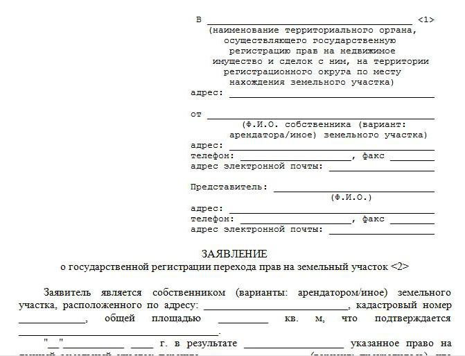 registration on country amnesty