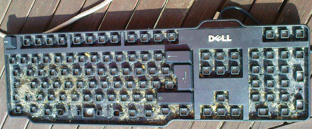 keyboard replacement