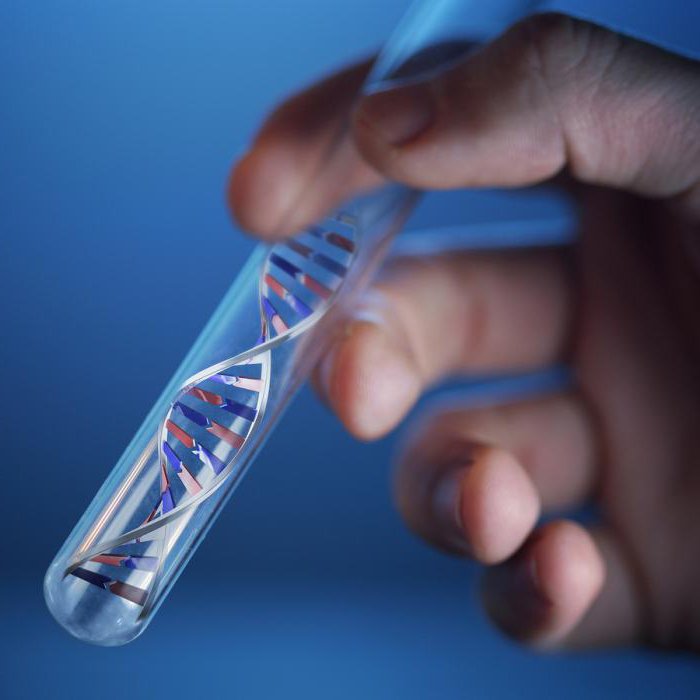 establish paternity by dna