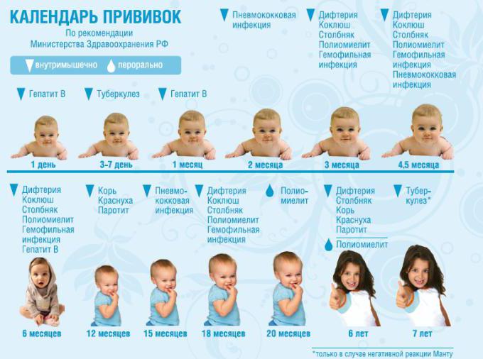 график прививок для детей в россии
