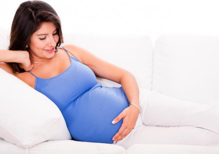 ведение беременности после эко в спб
