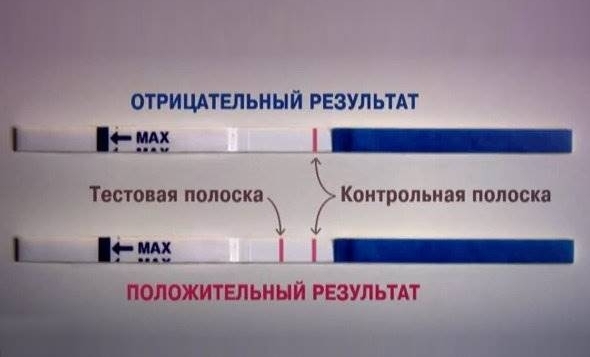 Когда делать тест на беременность после незащищенного секса