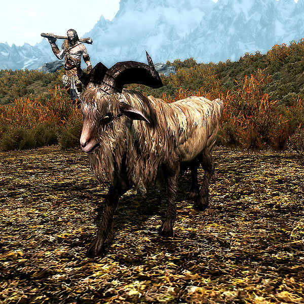 Goat in Skyrim