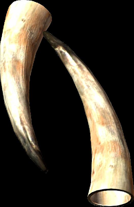 Goat horn in Skyrim - useful information about the subject