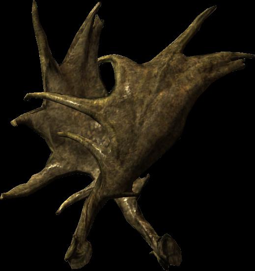 Big horns in Skyrim - description, search, receipt