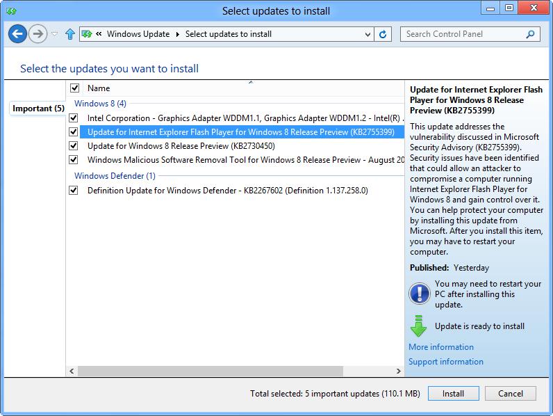 Updating Explorer through the Update Wizard