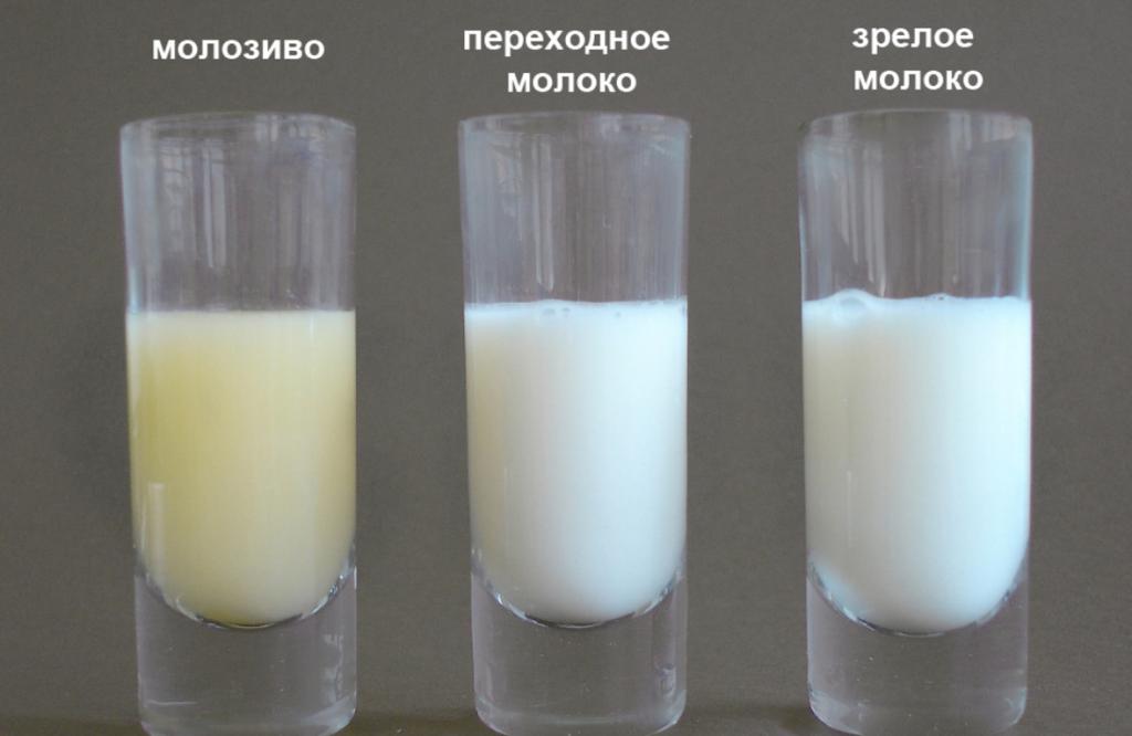Виды молока при лактации