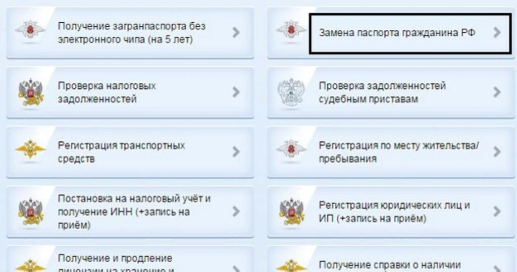 Как дистанционно обратиться за паспортом в России