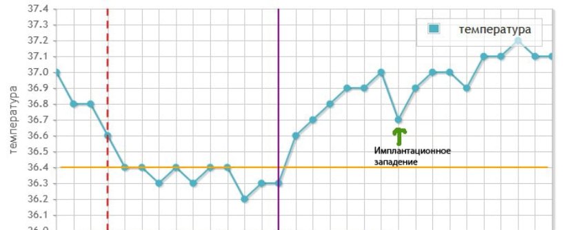 График БТ при беременности