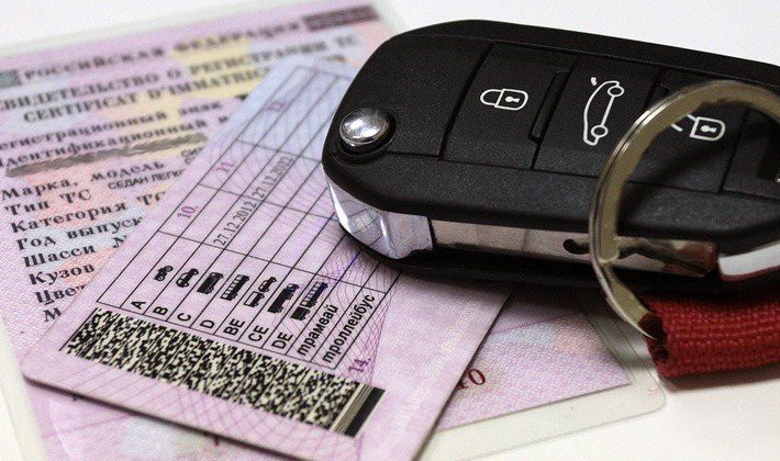 Лишение водительских прав - проверка информации