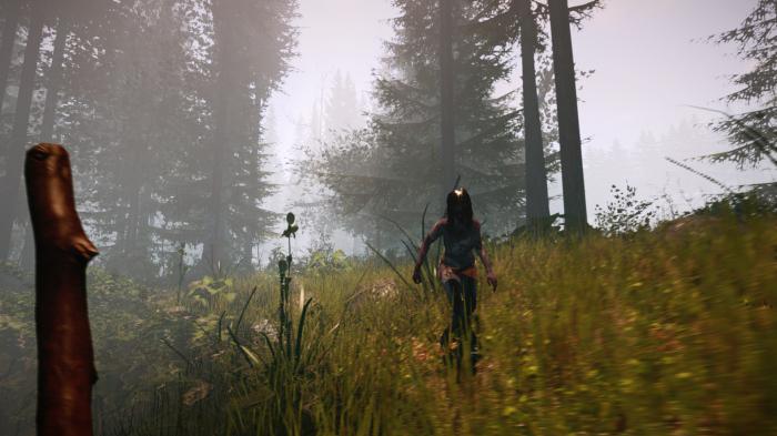 the forest system requirements 32