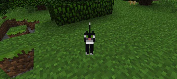 minecraft how to make a cat