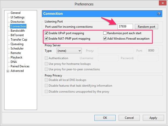 how to open ports through torrent for samp