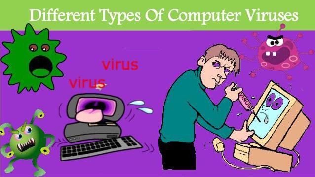 особенности компьютерных вирусов 