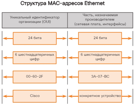 Таблица mac адресов коммутатора что это