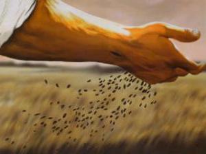 Parable of the Sower