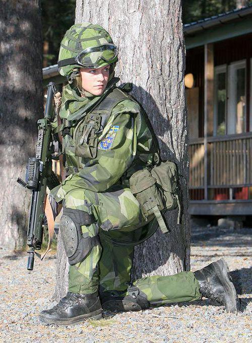 армия швеции полк лейб гвардии