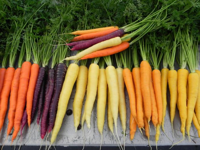 какой витамин содержится в моркови