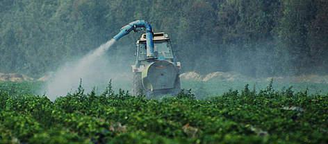загрязнение почв пестицидами