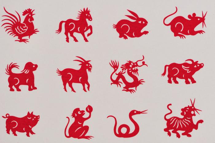 китайский гороскоп совместимость знаков