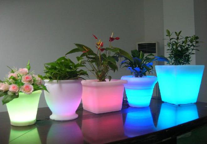 Лампочка для повышения растений