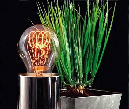 Люминесцентные лампы для разведения растений