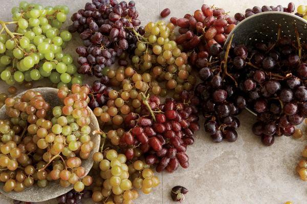 Лучшие сорта винограда в Украине