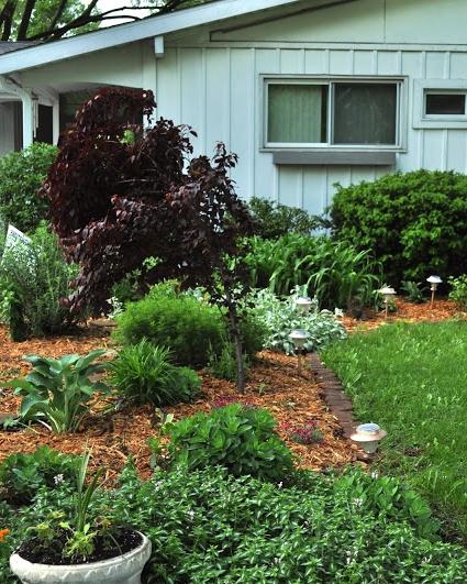 Do-it-yourself cottage landscaping