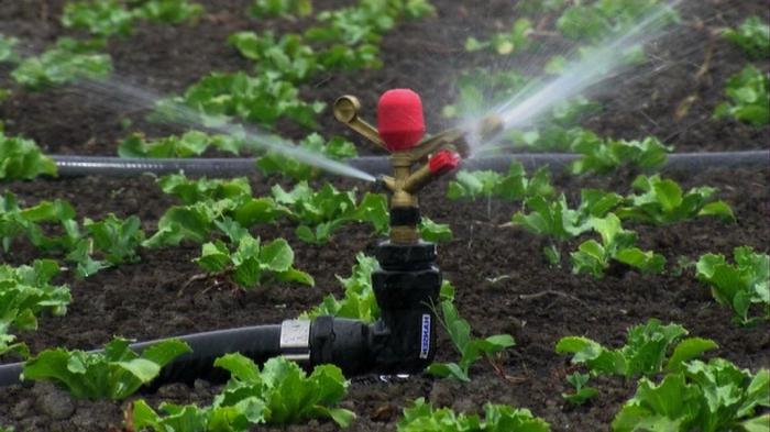 Water pump for watering the garden