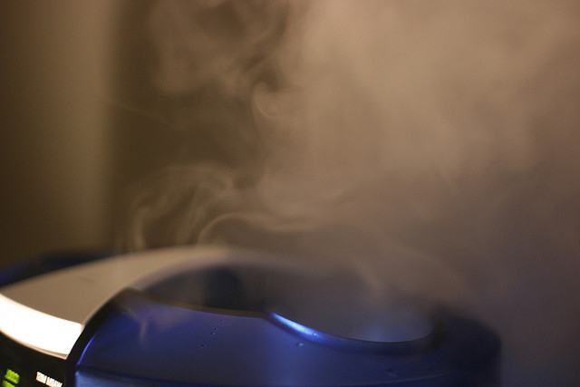 Steam humidifier