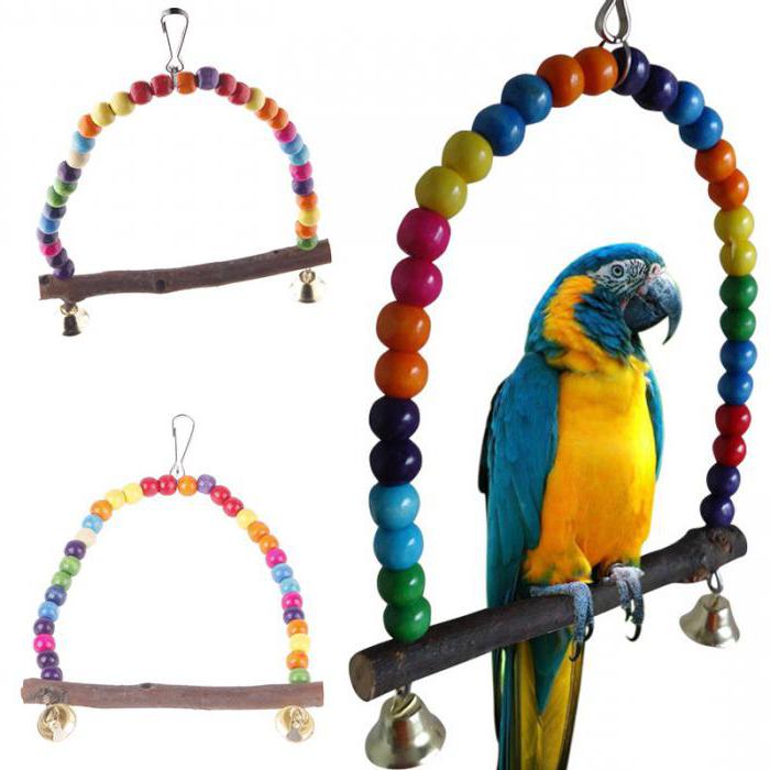 do-it-yourself parrot toys