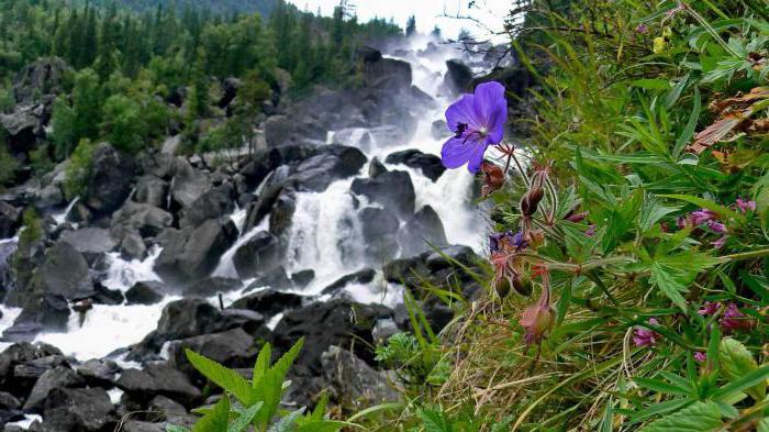 водопады алтая