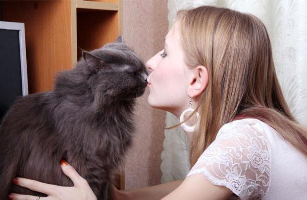 почему нельзя целовать кошек причины