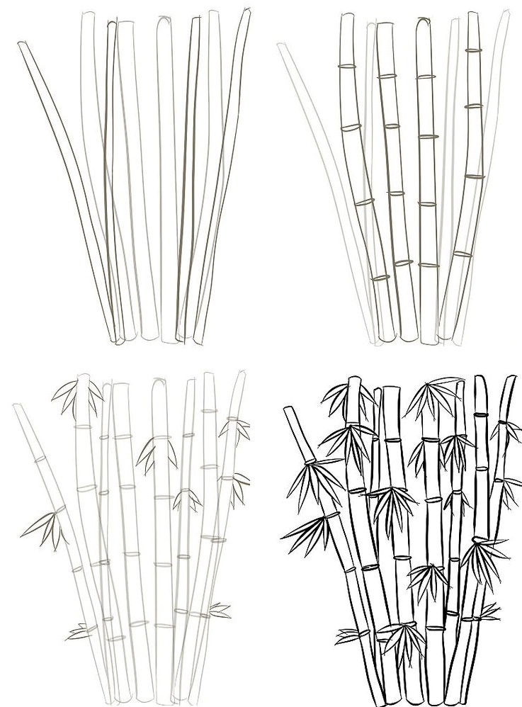 как нарисовать бамбук поэтапно
