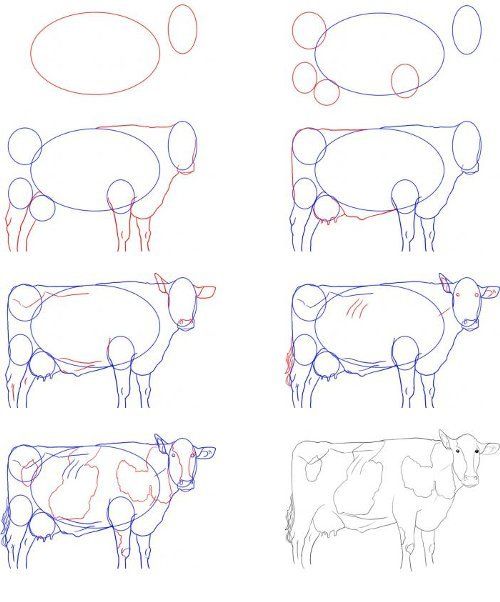 Пошаговый рисунок коровы
